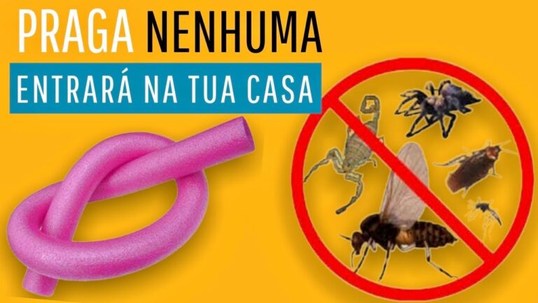 Estrat&eacute;gias para Lidar com Urg&ecirc;ncias em Casa