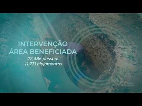 Inovação e Excelência no Instituto Superior de Espinho