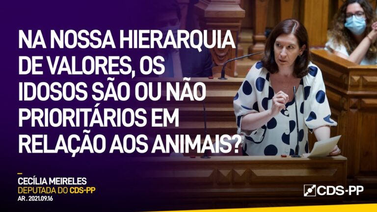 DL 276/2001: Entendendo suas Implicações e Aplicações