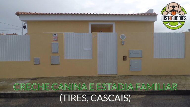 Dgav Torres Vedras: Inovação e Sustentabilidade em Foco