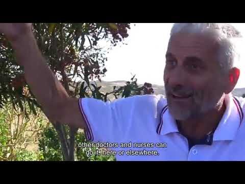Centro de Saúde Silves: Cuidando da Sua Saúde com Excelência