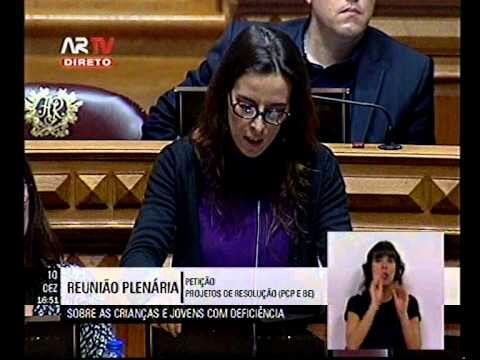 A Import&acirc;ncia do Subs&iacute;dio de Educa&ccedil;&atilde;o Especial para Inclus&atilde;o Escolar