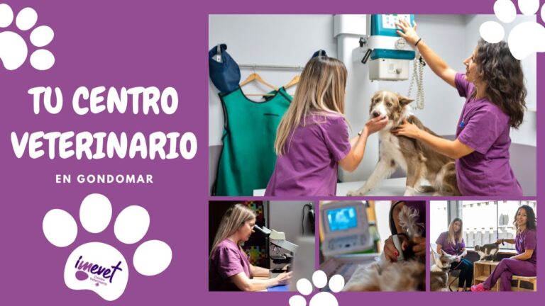 Centro de Diagnóstico de Gondomar: Avanços e Inovações na Saúde Local