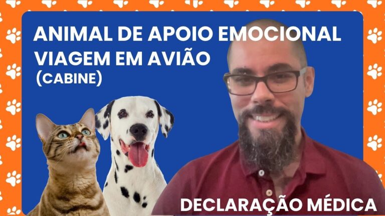 Acordo sobre Destino de Animais de Companhia: Propostas e Impactos