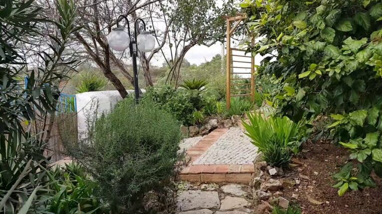 Casas para Arrendar em Loulé: Oportunidades Imperdíveis