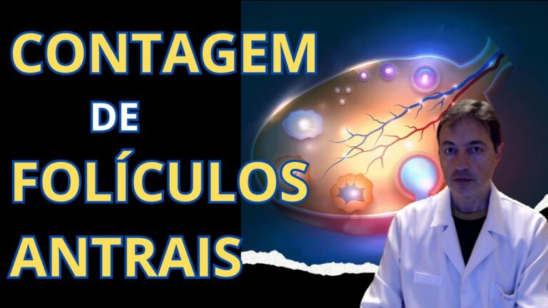 Antral Coimbra: Descubra os Segredos da Gastronomia Local