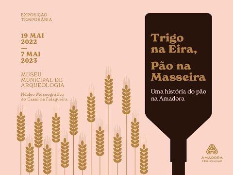 Feriado Municipal da Amadora: Celebrações e Impactos na Comunidade