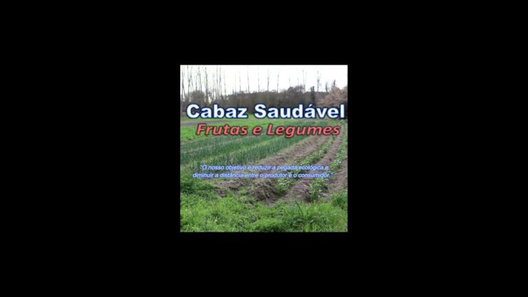 Cabaz Saud&aacute;vel: Del&iacute;cias Nutritivas para o Seu Dia a Dia