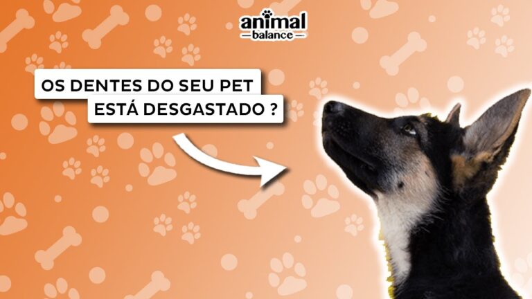 Transforma&ccedil;&atilde;o T&ecirc;xtil: Inova&ccedil;&atilde;o com Ca&ecirc;s de Pedra